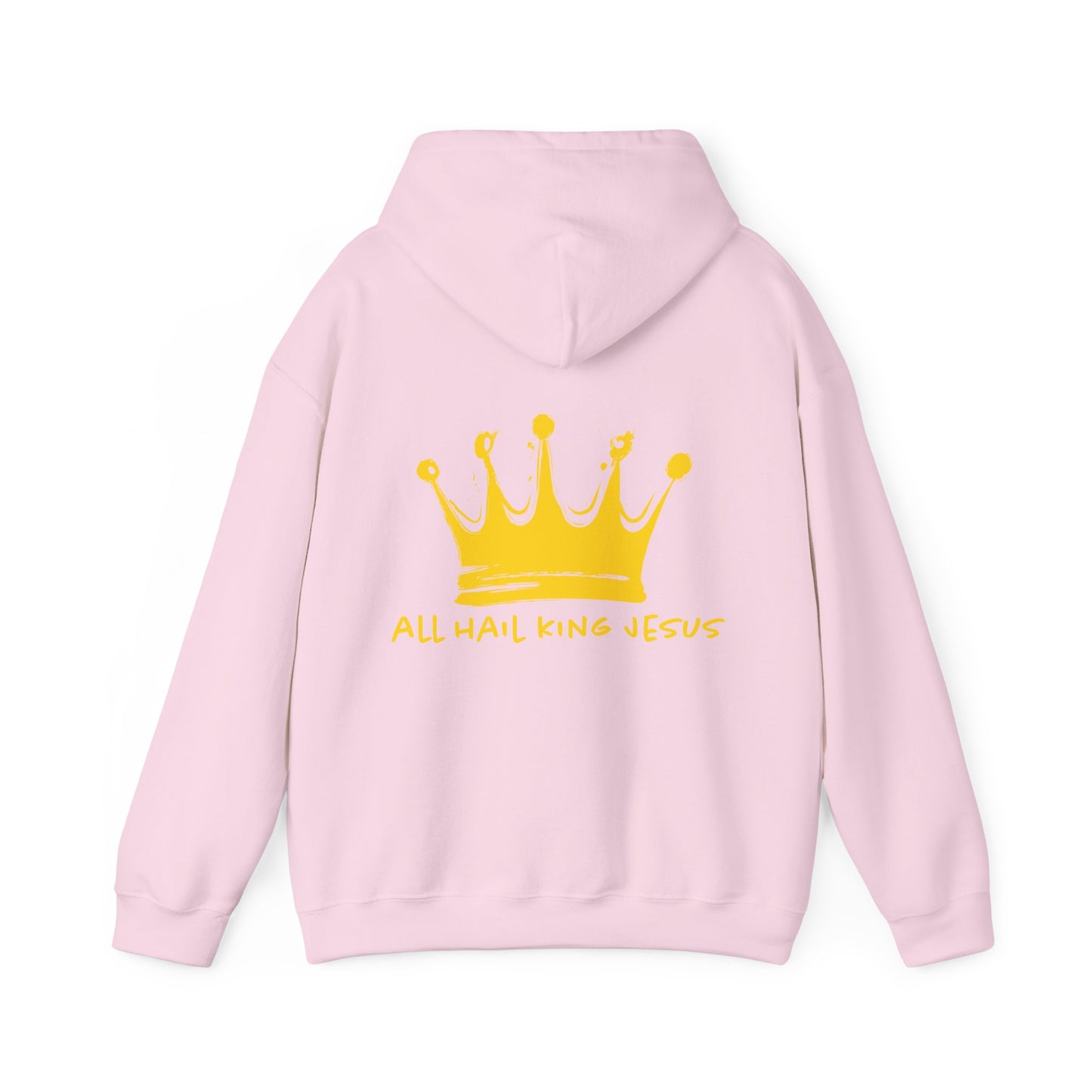 all hail King Jesus Hoodie