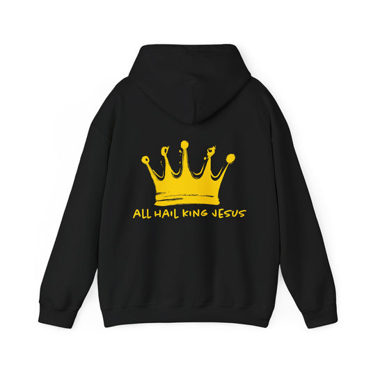 all hail King Jesus Hoodie